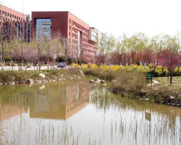3月26日上午,西北农林科技大学王征兵教授与咸阳市农业局文明办主任