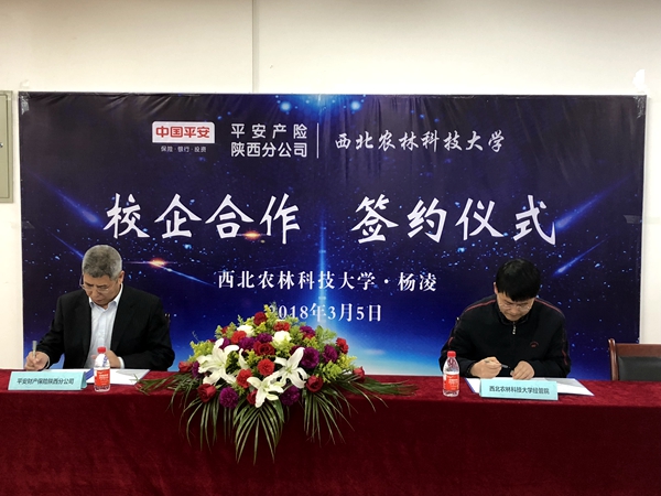 【经管学院】校企联谊谋发展 合作双赢谱新篇