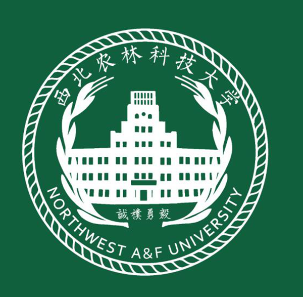 三等奖；马维源2_副本.png