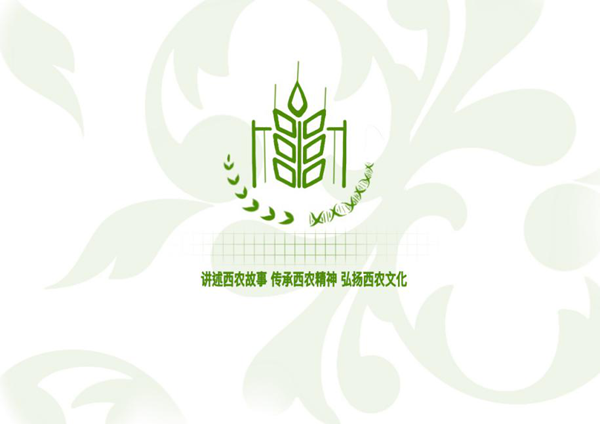三等奖  MD队-《麦穗两歧》_副本.png
