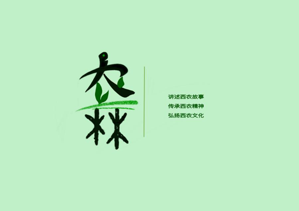 三等奖  MD队-《时和丰年》_副本.png