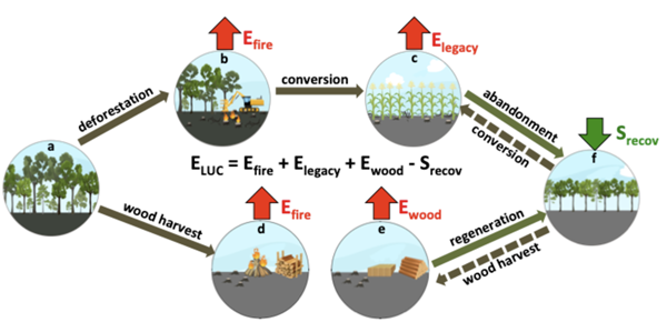图1 ORCHIDEE模型中所包括的土地利用过程（毁林造田的碳排放、新增农田的滞后排放、木材砍伐的排放以及生态恢复和人工造林产生的次生林碳吸收）_副本.png
