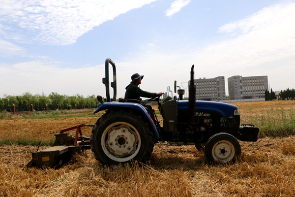 6月14日，收获完小麦的张正茂教授正在旋地，为海外农业示范园准备繁殖大豆_副本.jpg