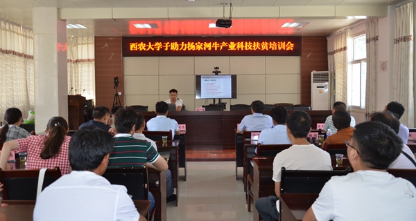 培训会现场_副本.jpg