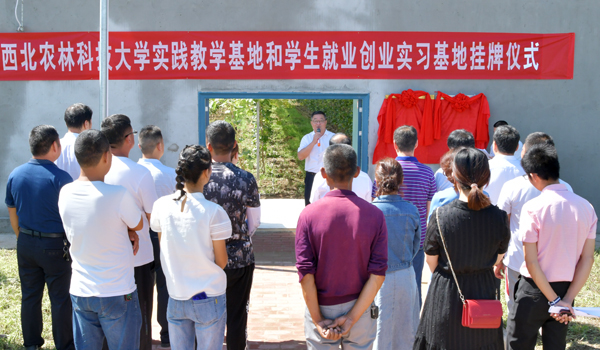 1、学生就业创业实习基地挂牌仪式现场--支勇平摄影.JPG