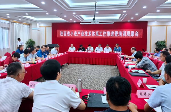 图1-会议现场_副本.jpg