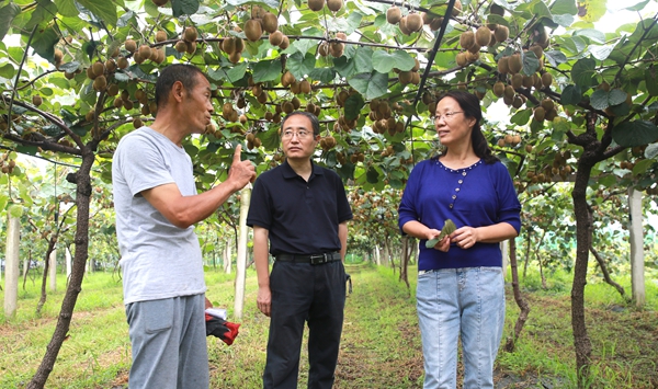 眉县果农杨乃乾向黄丽丽教授介绍今年猕猴桃的病害防控与收获预计_副本.jpg