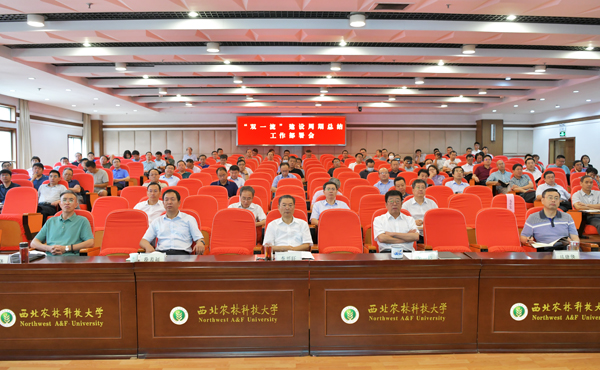 5、学校“双一流”建设周期总结工作部署会会场--支勇平摄影.JPG