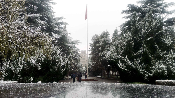 QQ图片20201126180849_WPS图片.jpg