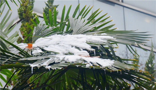 IMG_20201125_141612_WPS图片.jpg