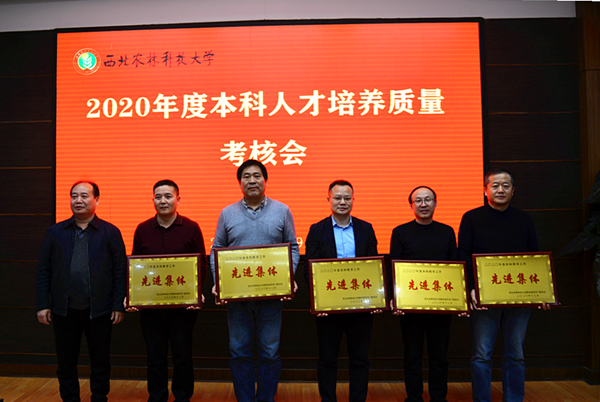 3给先进单位颁奖_副本.png