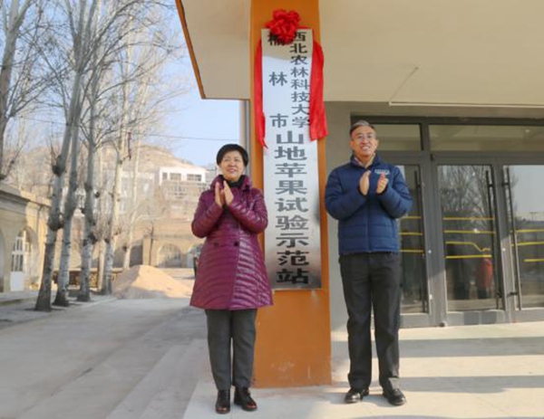 c8fcbb6358e74c3cac6e578457657404_副本.jpg