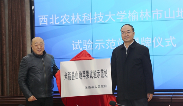 a4991de0af234d4aa2d2653c771462c3_副本.jpg