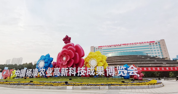 合照_副本.jpg