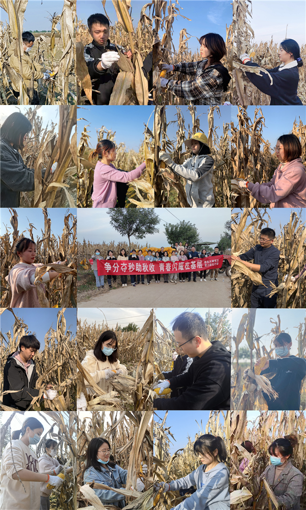 群策群力助秋收.jpg