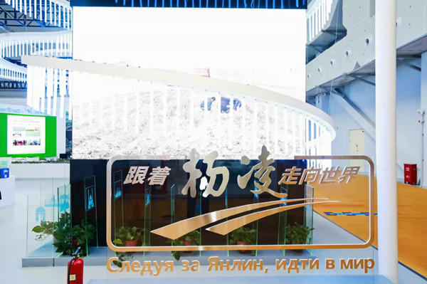 跟着杨凌走向世界_副本.jpg