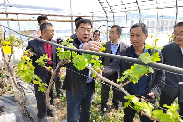 葡萄专家赴多地开展“春耕助农”活动