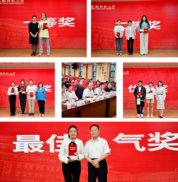 a06ed908fcdf449cb717b66a4f031020.png 决赛现场2_副本.png