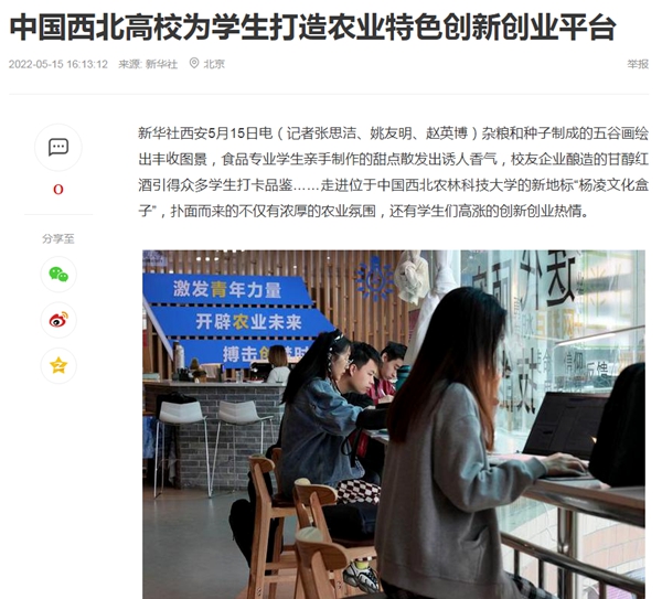 未命名_副本.jpg