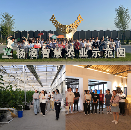 活动照片.png
