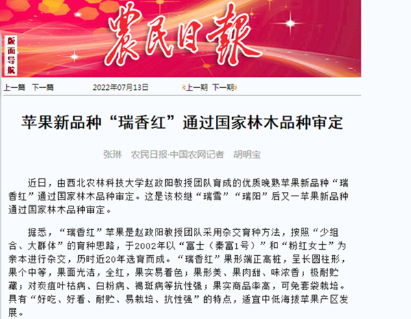 123_副本.png