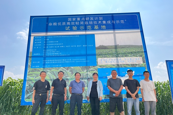 “科技创新+技术指导”助力佳县谷子节本增效30%以上