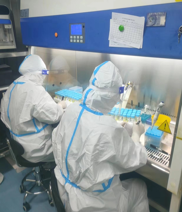 临床基因实验室工作人员加班加点检测样本_副本.jpg