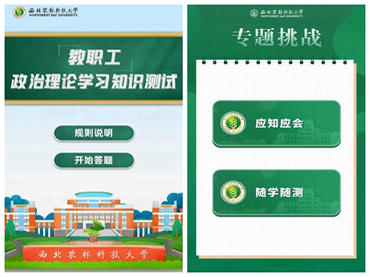 拼图_副本.jpg
