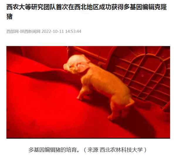 2_副本.jpg