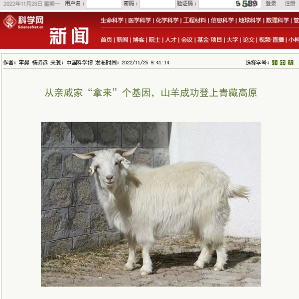 10_副本.jpg
