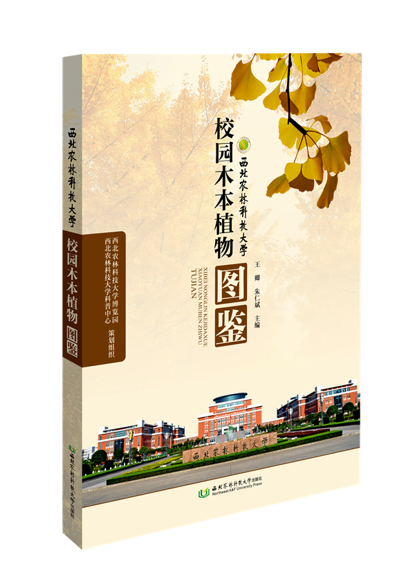 A8CEAC0C070CC520EFBAC9F37571295C_副本.png