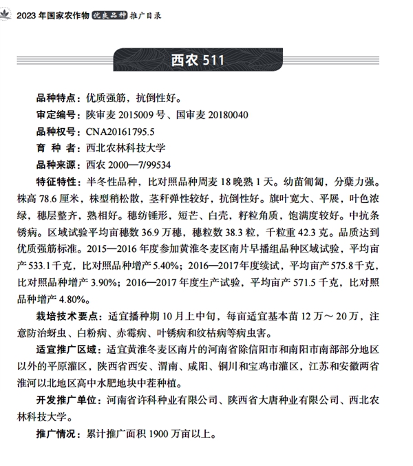 西农511 介绍.jpg