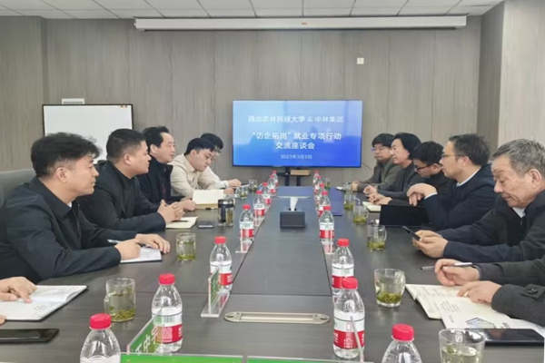 座谈会.jpg