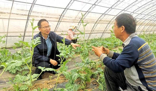 马建祥研究员在瓜田里指导群众_副本.jpg