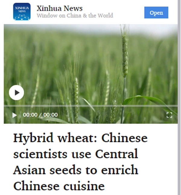 1_副本.jpg