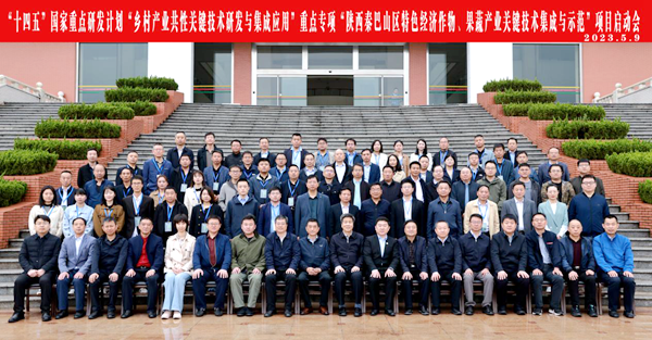 982b39f2cb324a77804dca42dae42d95.png image.png