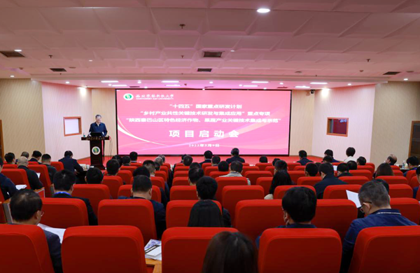 d4c38b867f0049bfab2d647f2dbc3bac.png image.png