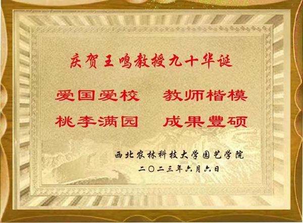 032ef4eeacd54279a53b5f380689c36a.png image.png