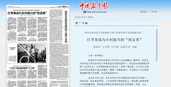 11.22中国教育报_副本.jpg