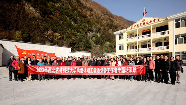 培训班学员在金米村_副本.jpg