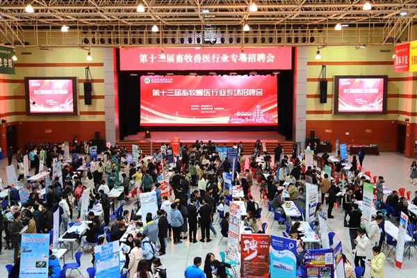 华体会- 华体会体育官网- 华体会体育APP下载农村冷门暴利种植红参果亩产800斤亩入5万元一次栽种连收20年