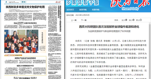 T8B6GZ~Y`MKV26PY8WG870V_副本.png