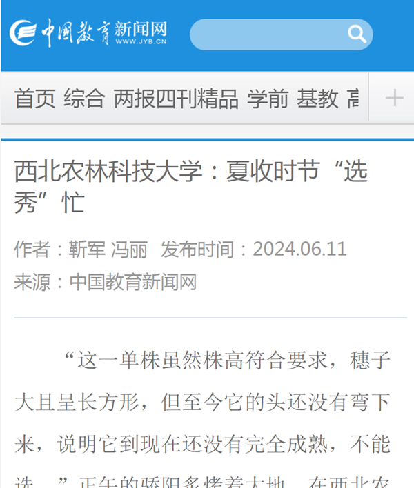 QQ图片20240612143456_副本.png