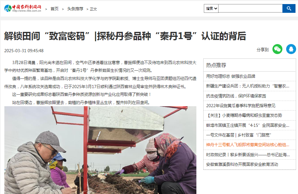 中国农科新闻网 2025-3-31.jpg