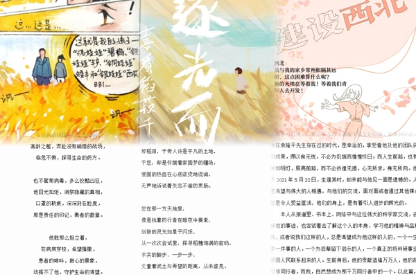 作品合集（部分）_副本.jpg