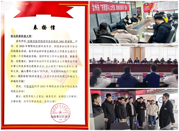 【创新学院】以青春之我，为家乡赋能_副本.png