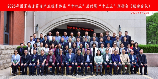 微信图片_20250428113611_副本.jpg
