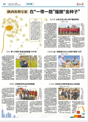 微信图片_20250529083840_副本.png