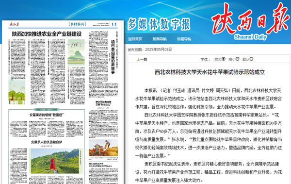 e53774964c8b86654b6a616fd903ddac_副本.png