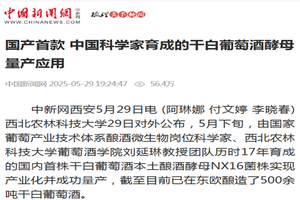 562c77d13895eee702dd397dd40729c0_副本.png